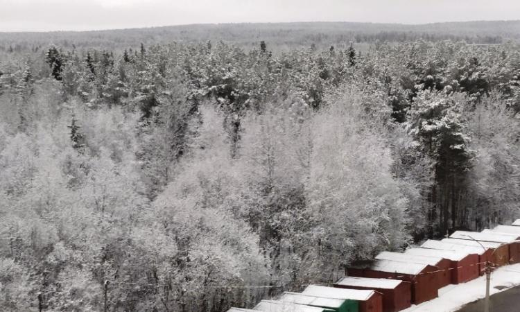 Белое утро на улице Цифриновича. Фото: газета «Наш Соликамск»