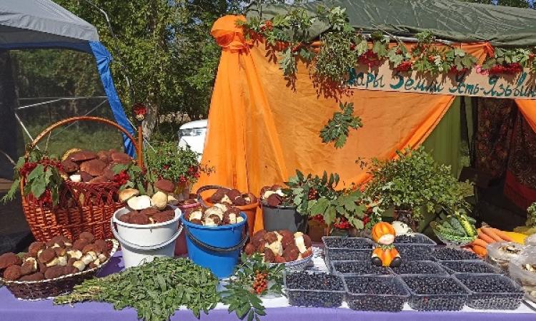 Щедрые дары уральской природы