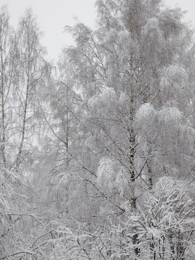 Для одних вчерашний снегопад - сказочная красота, для других - срочный вызов на работу